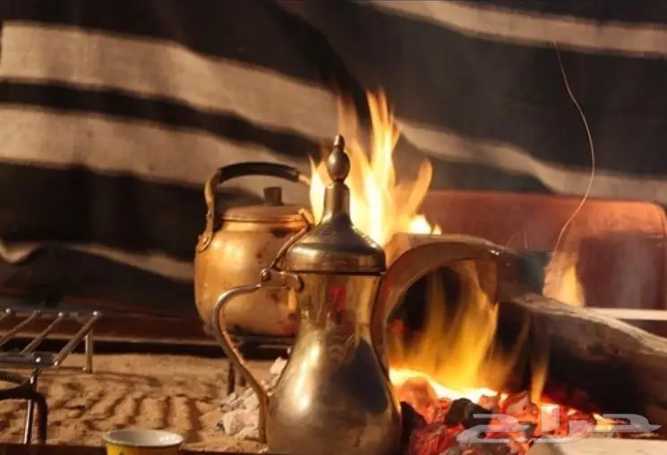مخيم قسمين للايجار يوجد العاب اطفال (image 13)