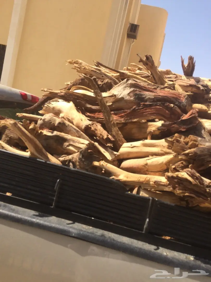 حملة جمس حوض كبير شرط سمر مرصوص رص 