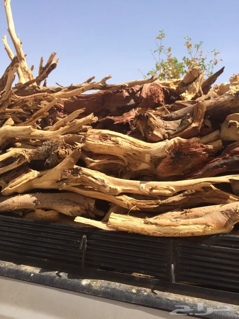 حملة جمس حوض كبير شرط سمر مرصوص رص  (image 1)