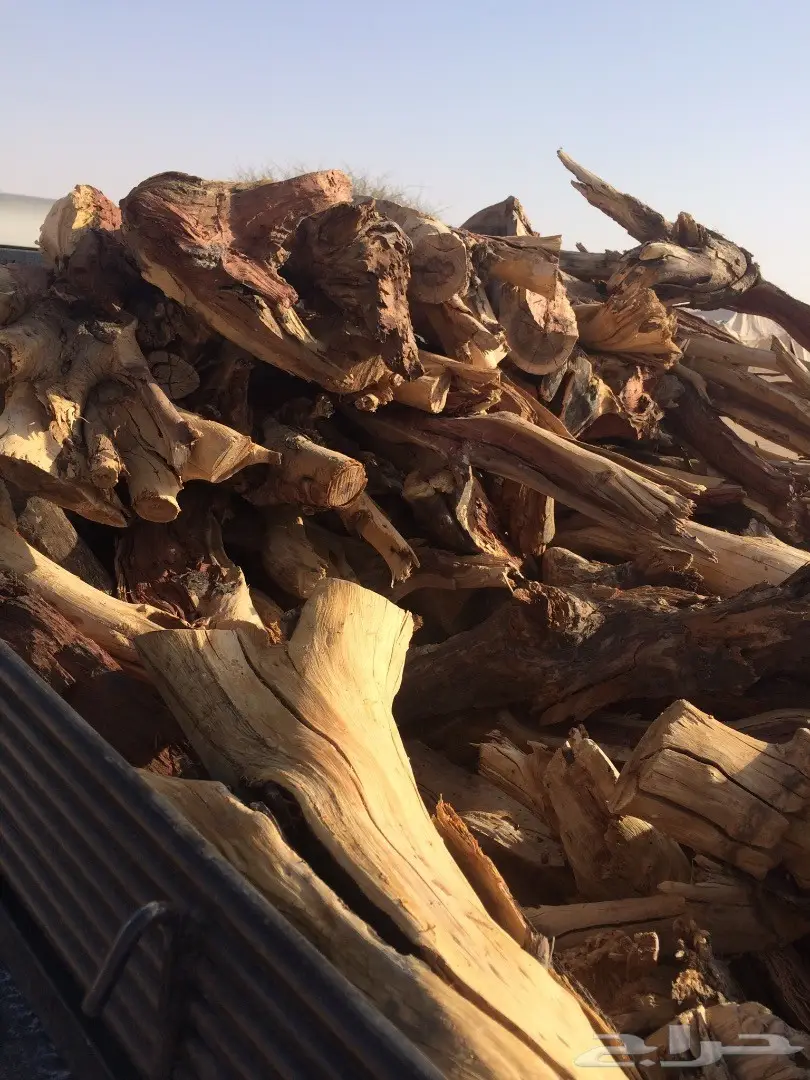 حملة جمس حوض كبير شرط سمر مرصوص رص  (image 2)