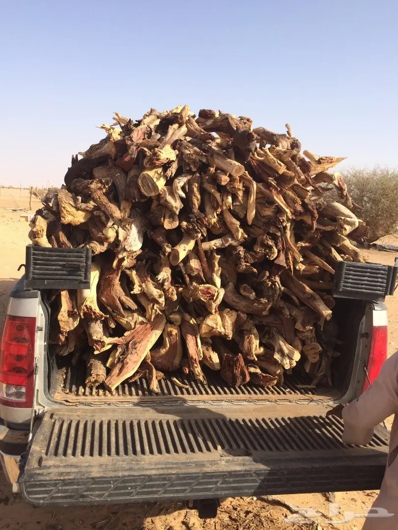 حملة جمس حوض كبير شرط سمر مرصوص رص  (image 3)