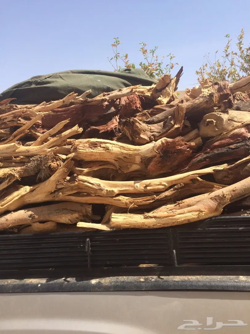 حملة جمس حوض كبير شرط سمر مرصوص رص  (image 4)