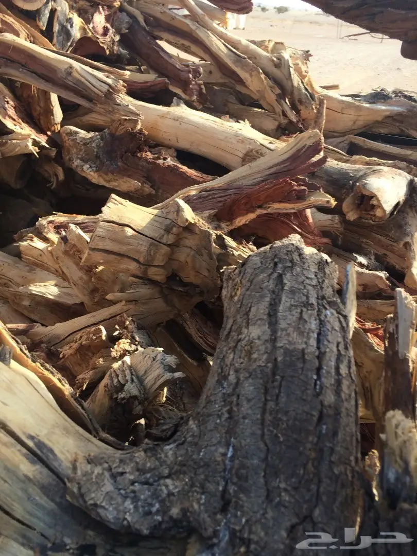 حملة جمس حوض كبير شرط سمر مرصوص رص  (image 5)