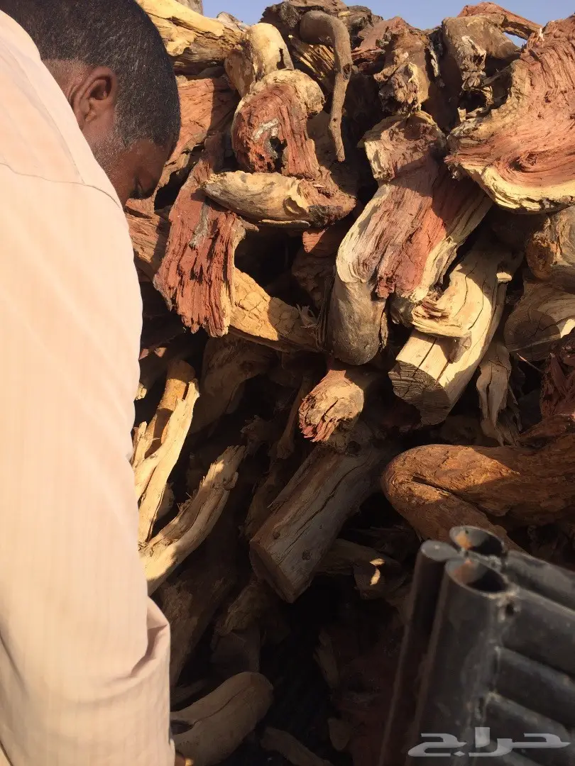 حملة جمس حوض كبير شرط سمر مرصوص رص  (image 6)