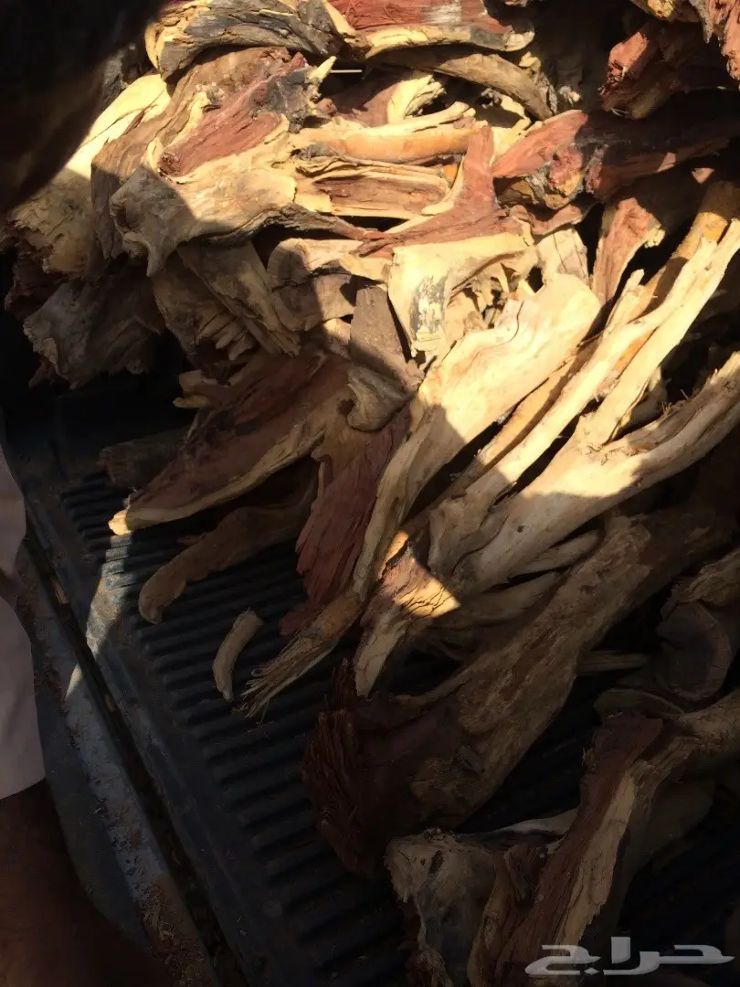 حملة جمس حوض كبير شرط سمر مرصوص رص  (image 7)