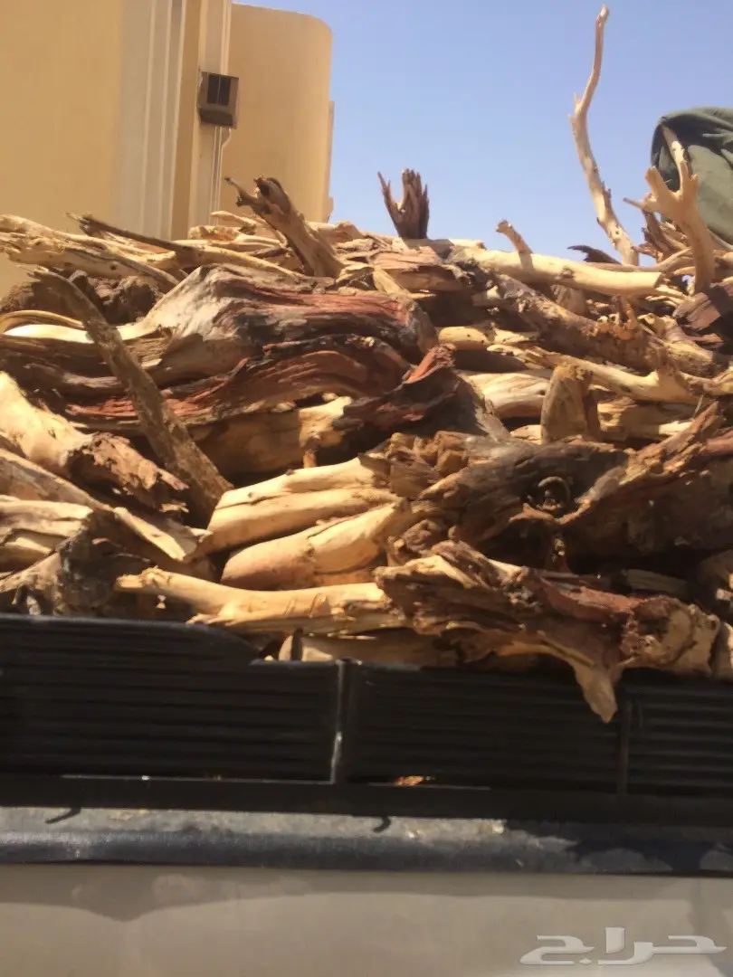 حملة جمس حوض كبير شرط سمر مرصوص رص  (image 8)