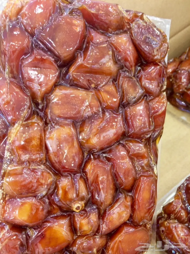 تمر خلاص اشيقر  اشقر فاتح (الشيوخ) (image 5)