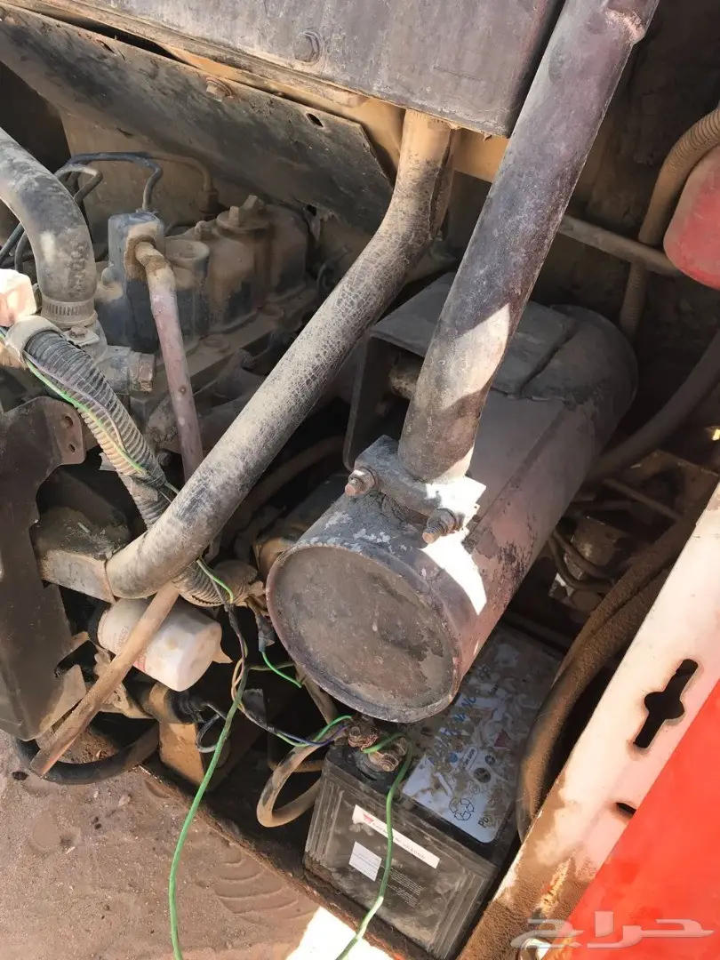 بوب كات للبيع نظيف وطيب (image 2)