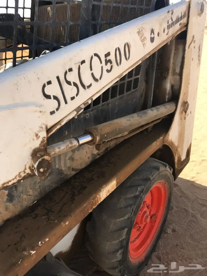 بوب كات للبيع نظيف وطيب (image 7)