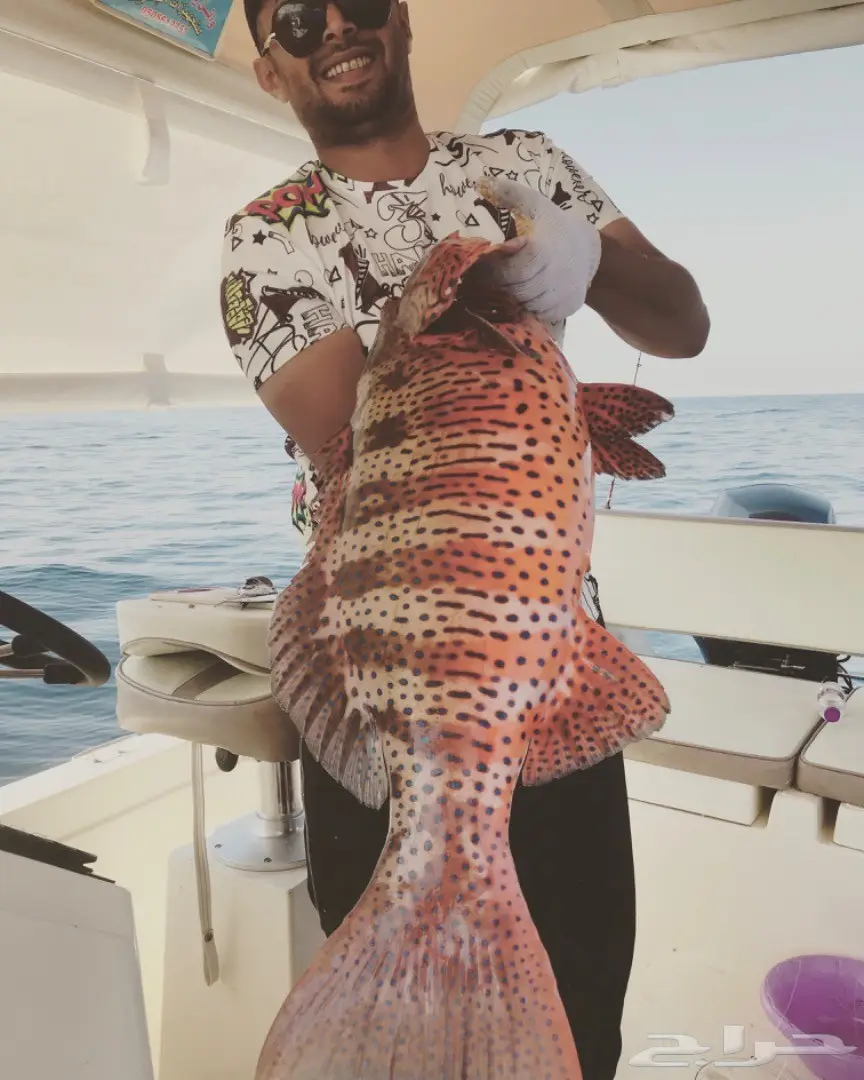 رحلات بحرية من شمال جدة (image 2)