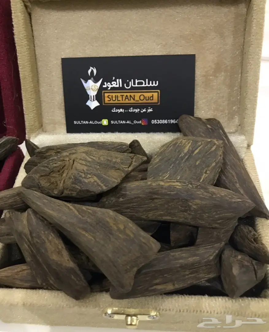 عود مروكي سوبر-اصقون-كلمنتان-وادهان بيورفاخرة (image 10)