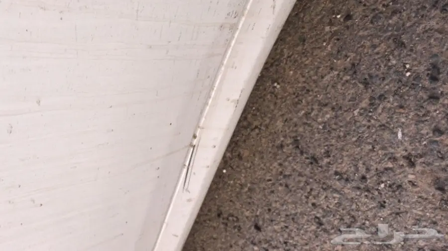 مكسيما 2014 نص فل (image 5)