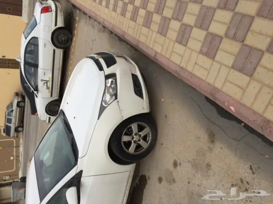 كروز 2010 (image 3)