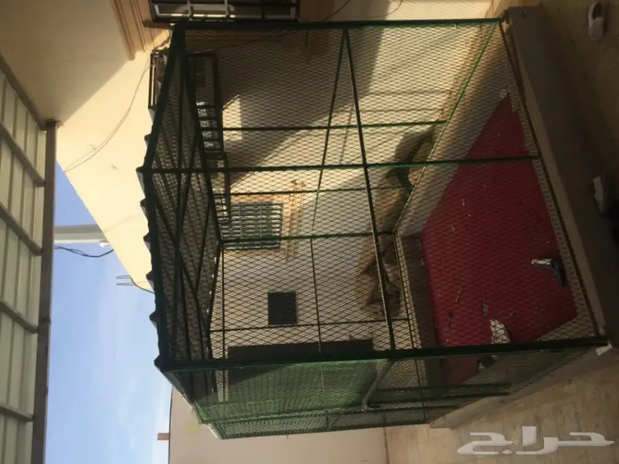 للبيع عشة حمام