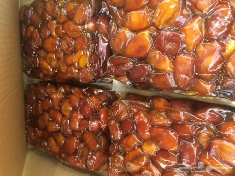 تمر خلاص اشيقر  اشقر فاتح (الشيوخ) (image 8)