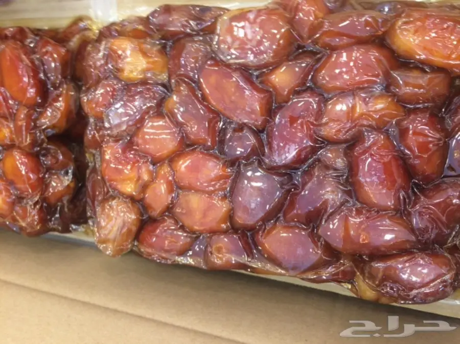 تمر خلاص اشيقر  اشقر فاتح (الشيوخ) (image 10)