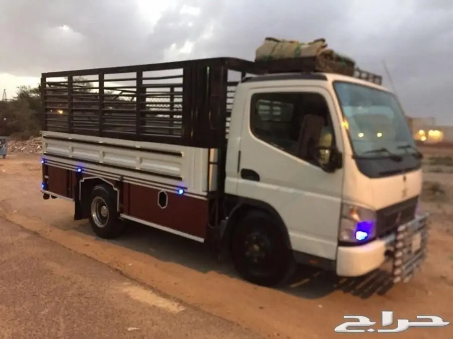 دينا للإيجار 