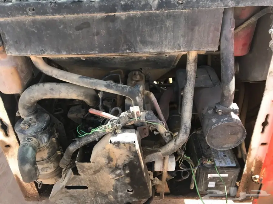 بوب كات للبيع نظيف وطيب (image 6)