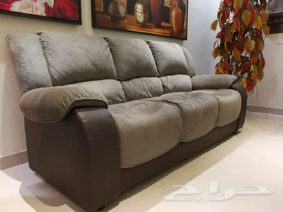 كنب مودرن نظام أمريكي فخم من هوم سنتر  (image 15)