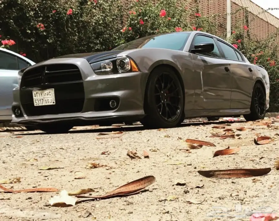  تشارجر RT مقلوب SRT  (image 1)