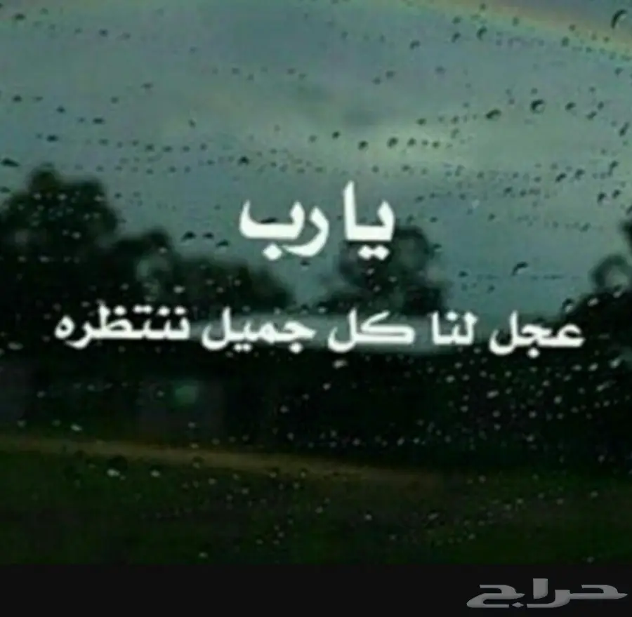 استخراج تاشيرات سائق خاص مساند 500 ريال