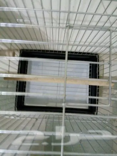 للبيع قفص (image 5)