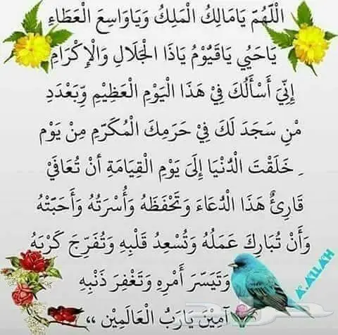 معمول جالكسي 