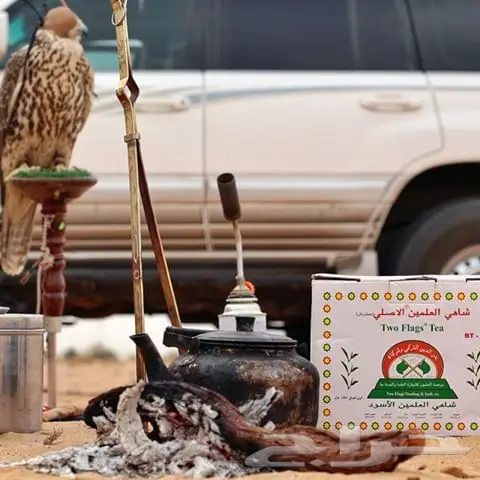 شاهي العلمين