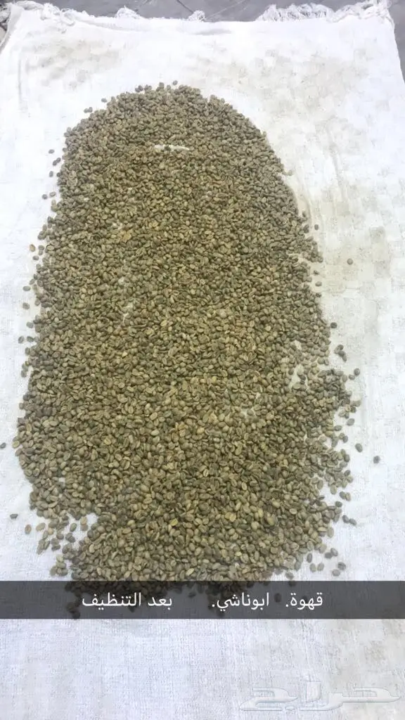 قهوة ابوناشي (image 9)