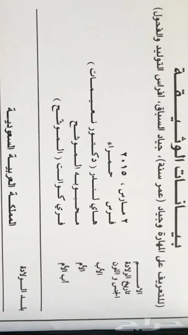 فرس انتاج (image 1)