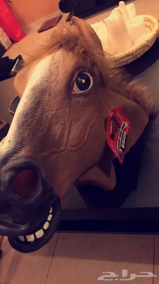 قناع حصان جديد (image 1)