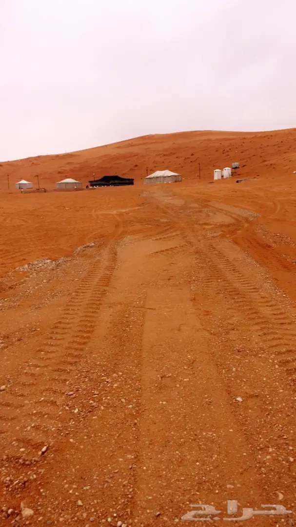 مخيم الثمامة للإيجار اليومي او الشهري (image 10)