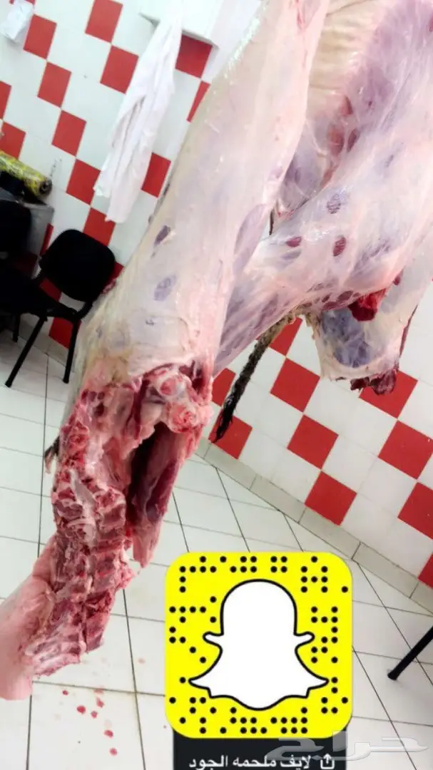نحر اليوم حاشي بري لباني زبدهه  (image 3)
