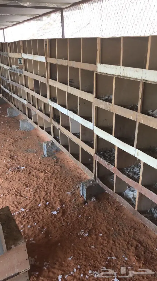 بيوت حمام للبيع