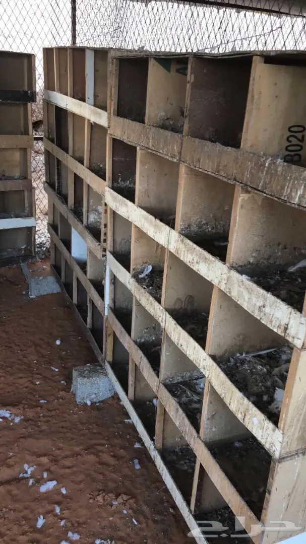 بيوت حمام للبيع (image 1)