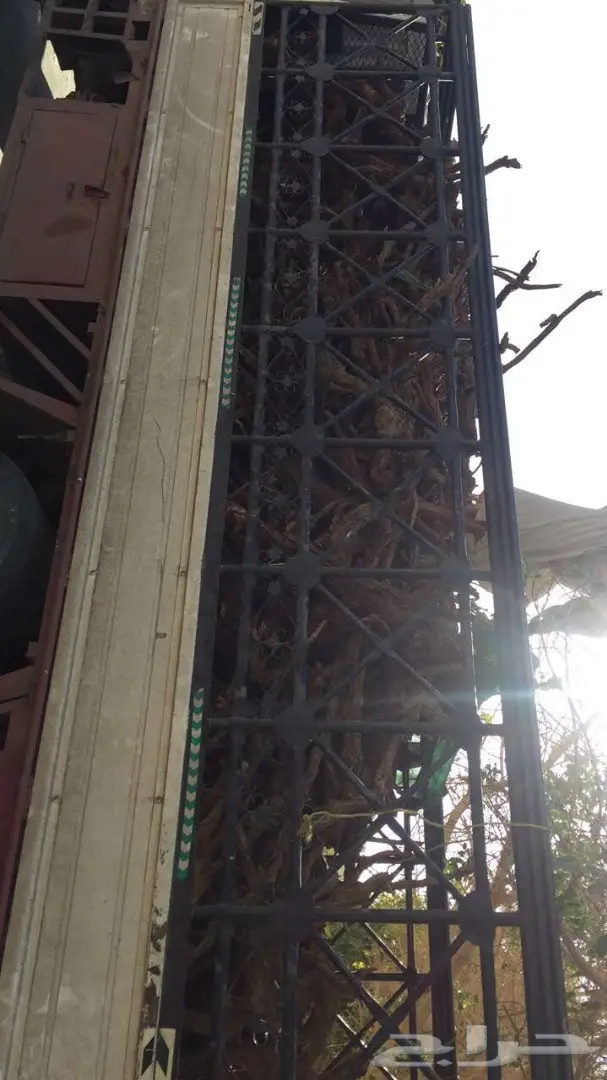 حطب ارطا للبيع - كمية محدودة