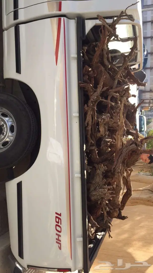 حطب ارطا للبيع - كمية محدودة (image 3)