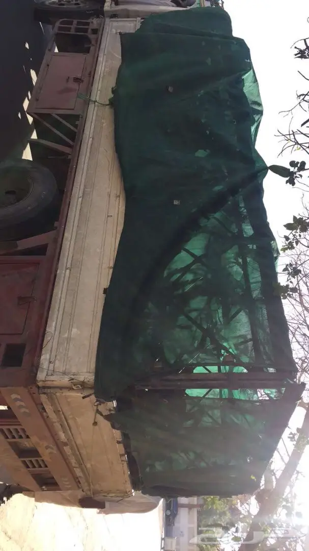 حطب ارطا للبيع - كمية محدودة (image 6)