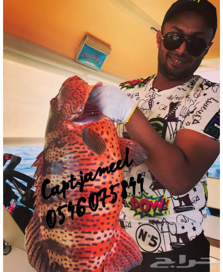 رحلات بحرية من جدة 