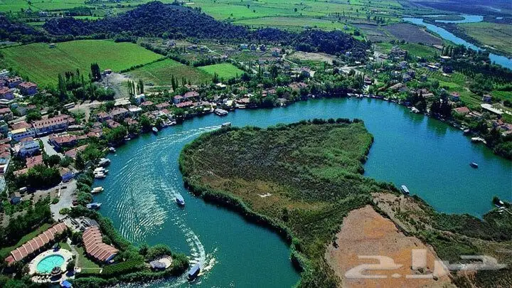 عسل طبيعي من جنوب تركيا (image 2)