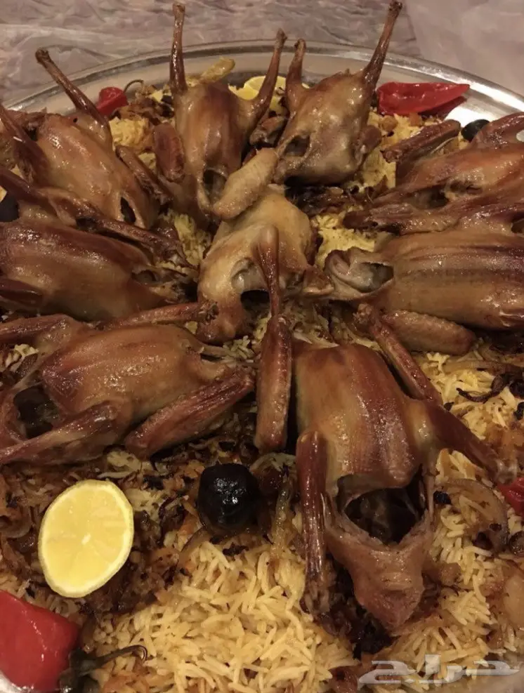 فروخ و زغاليل فرنسي طازجة .. 