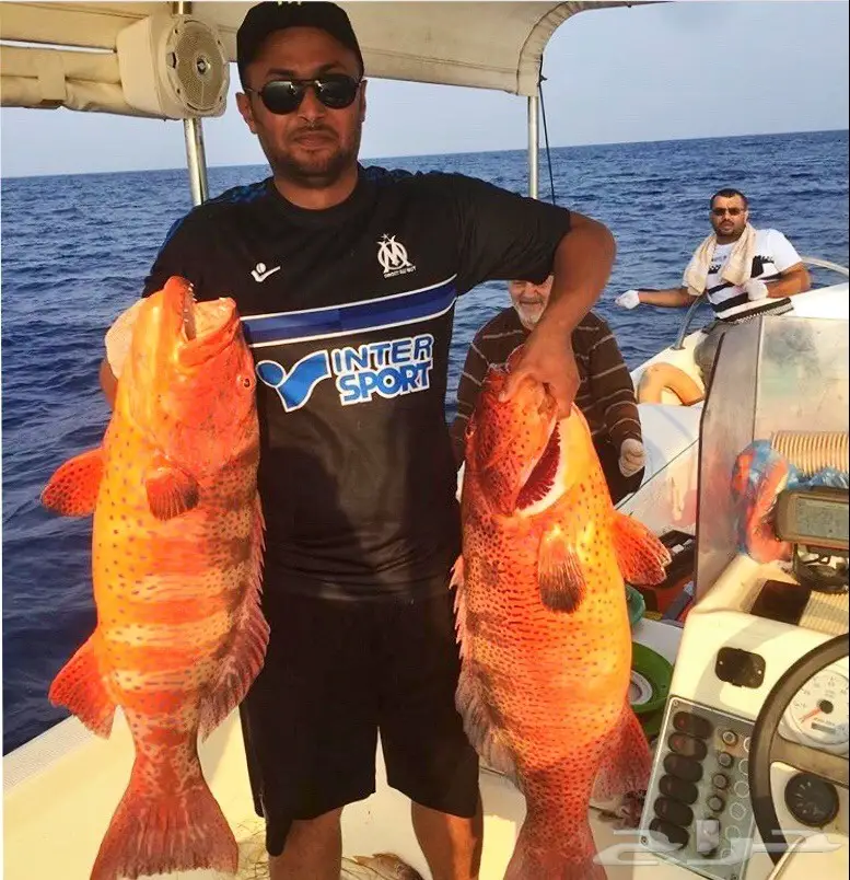 رحلات بحرية من جدة  (image 4)