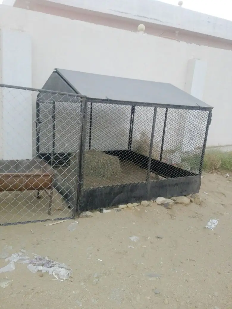 غرف وعشش دواجن (image 1)