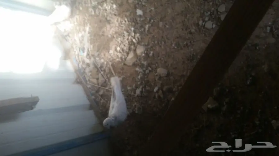 حمام تركي  (image 1)