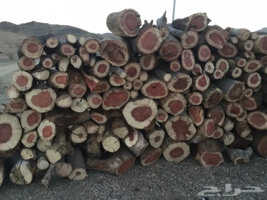 حطب للبيع  (image 1)