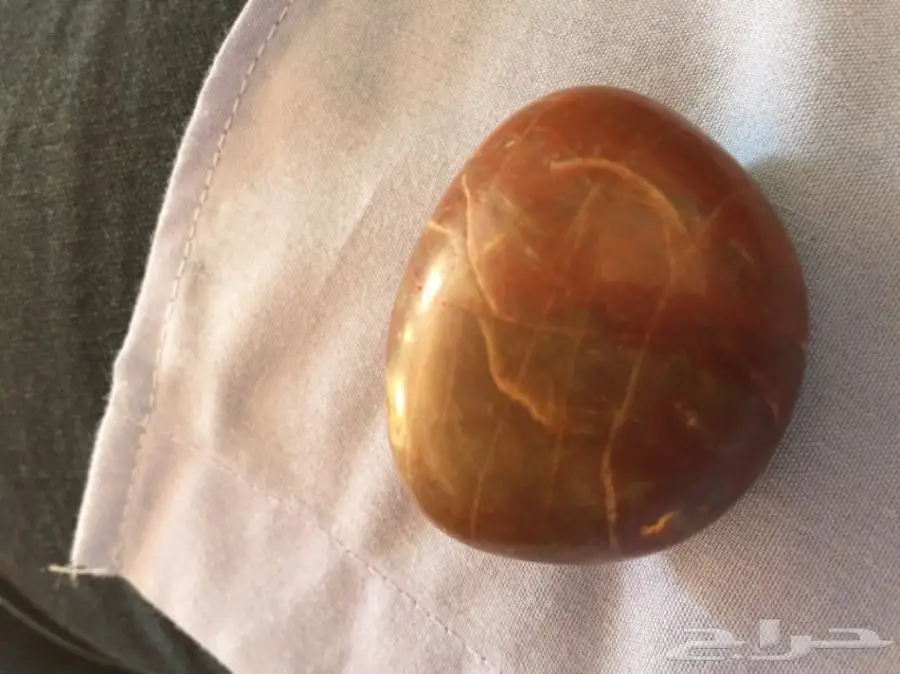 حجر مدري عن نوعه