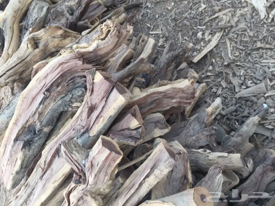 ح ط ب للبيع شمر شلايخ يابس  (image 1)