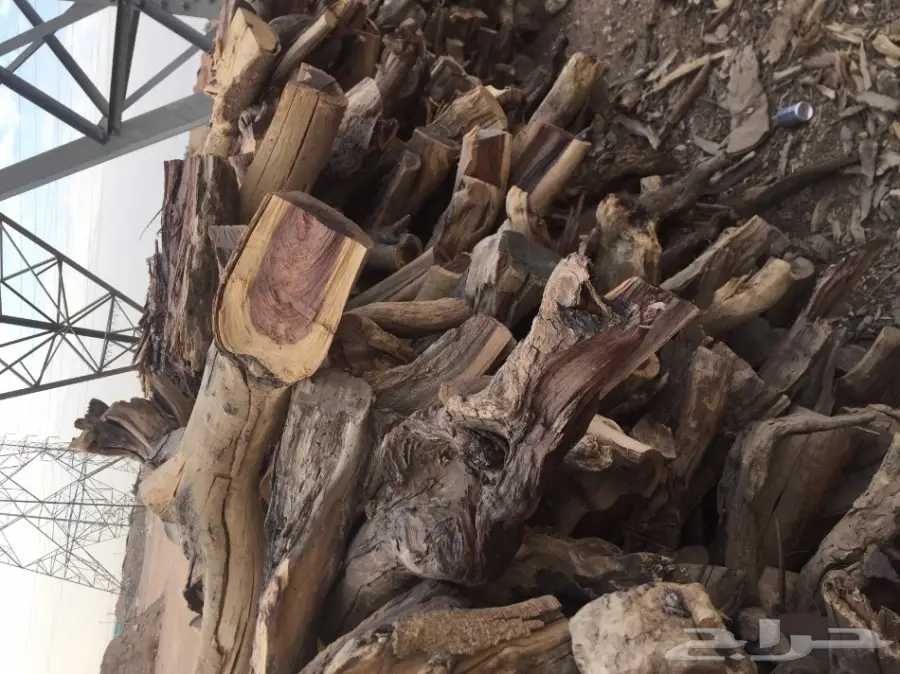 ح ط ب للبيع شمر شلايخ يابس  (image 2)