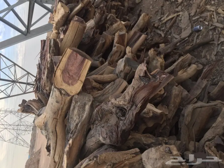 ح ط ب للبيع شمر شلايخ يابس  (image 3)