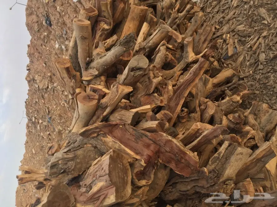 ح ط ب للبيع شمر شلايخ يابس  (image 4)